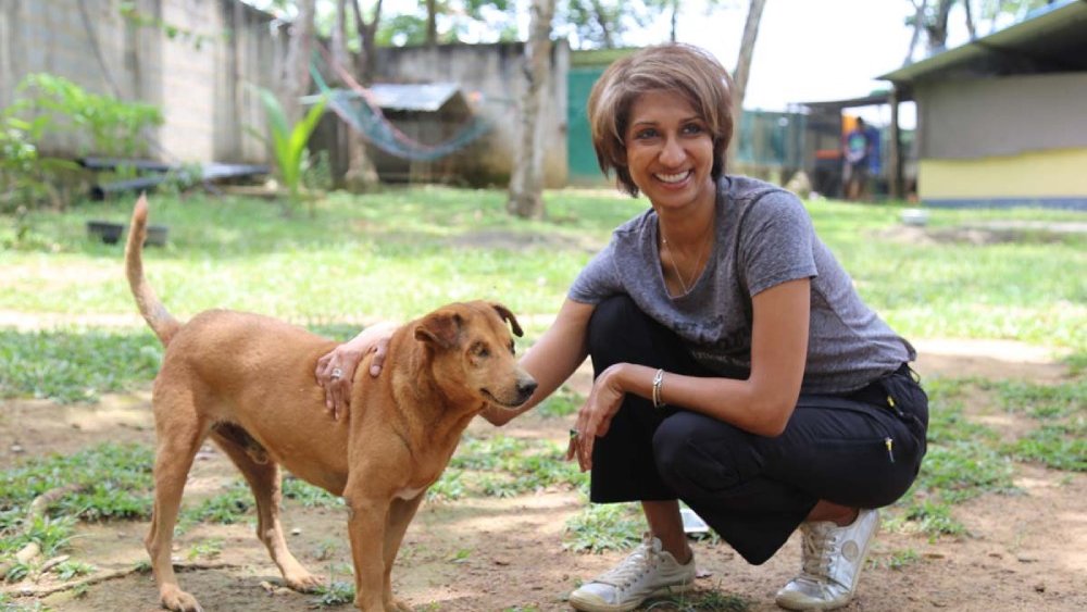 How Otara Gunewardene Is Transforming the Lives of Stray Dogs in Sri Lanka